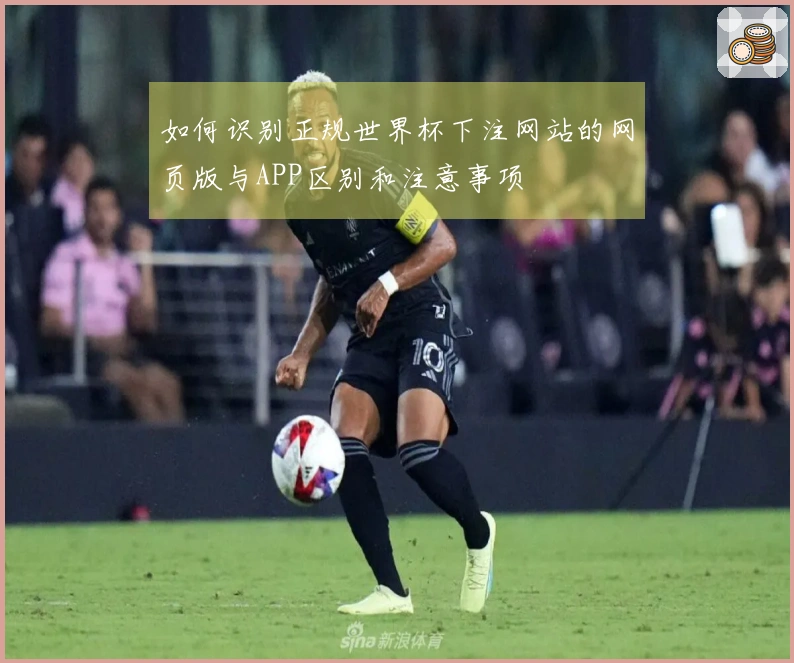 如何识别正规世界杯下注网站的网页版与APP区别和注意事项