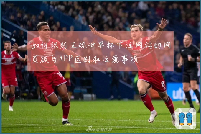 如何识别正规世界杯下注网站的网页版与APP区别和注意事项