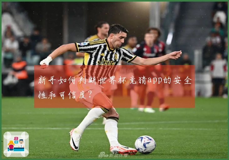 新手如何判断世界杯竞猜app的安全性和可信度？