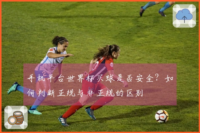 手机平台世界杯买球是否安全？如何判断正规与非正规的区别